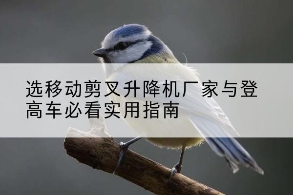 苏尼特右旗电动升降机厂家-选移动剪叉升降机厂家与登高车必看实用指南