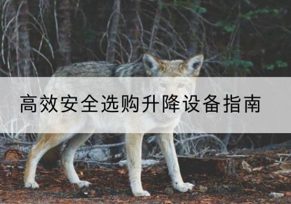 苏尼特右旗升降货梯厂家推荐-*安全选购升降设备指南