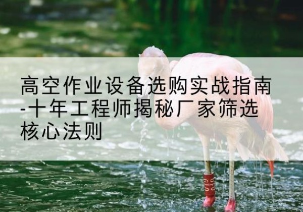 苏尼特右旗剪叉式升降机厂家-高空作业设备选购实战指南-十年工程师揭秘厂家筛选核心法则